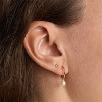 Delicate Pearl Sleepers