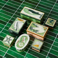 Mariner Starfish Box