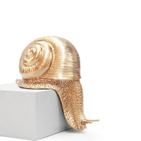 Crawling Snail Statue