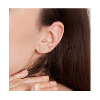 Ania Haie 14k Gold Star Studs