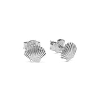 Dainty Seashell Studs