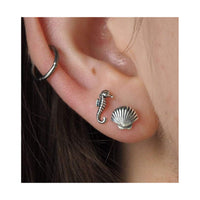 Dainty Seashell Studs