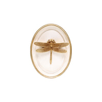 Ivory Insect Wall Plaque