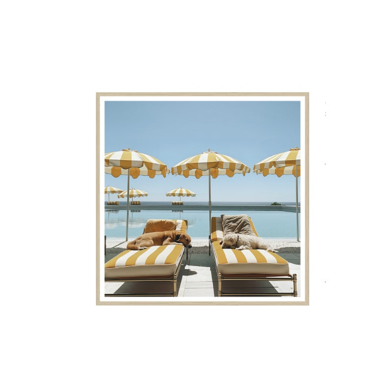 Top Dogs Framed Print