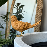 Budgie Resin Sculpture