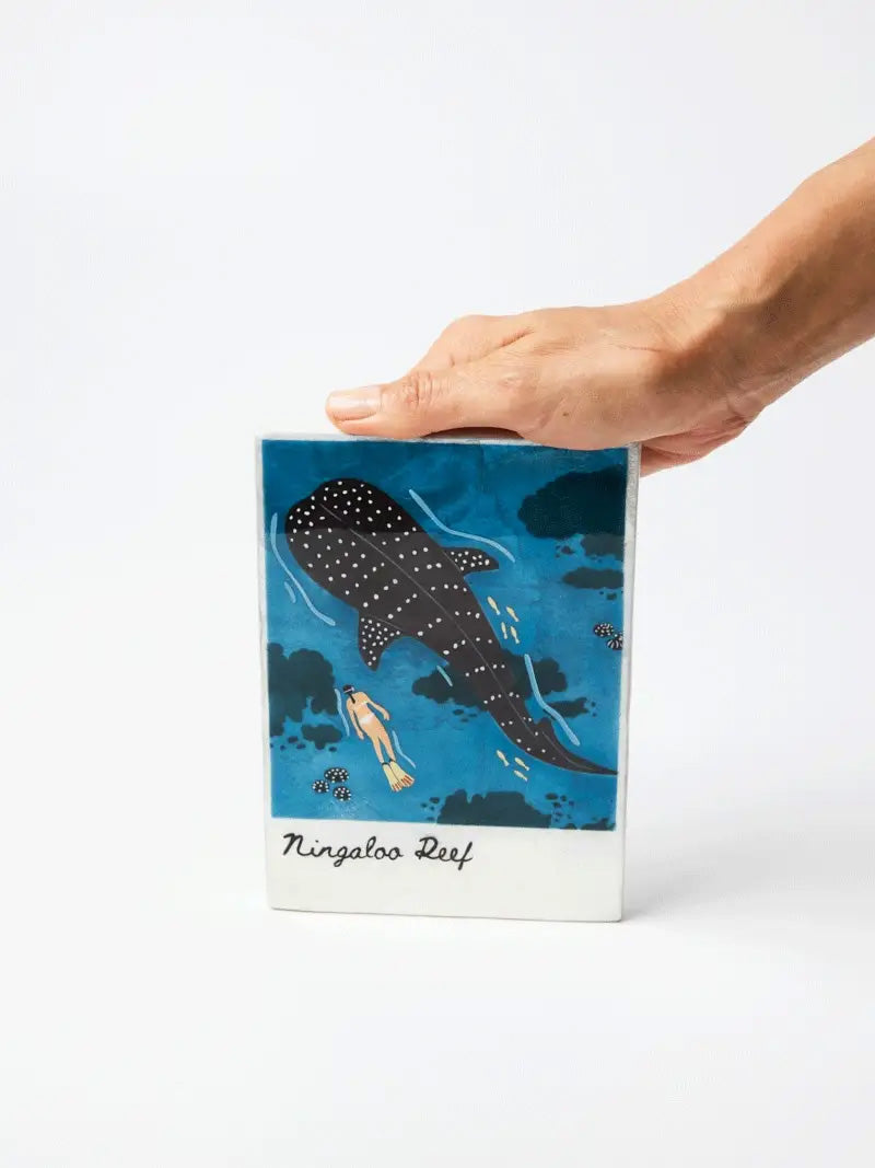 Snapshot Ningaloo Wall Art