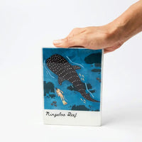 Snapshot Ningaloo Wall Art
