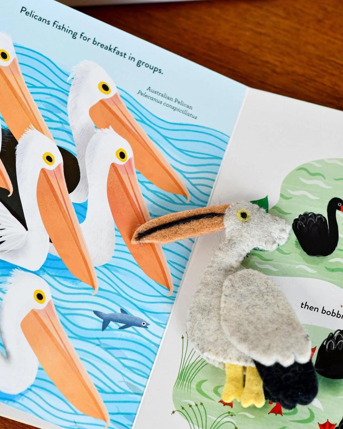 Busy Beaks Finger Puppets and Book Set by Sarah Allen