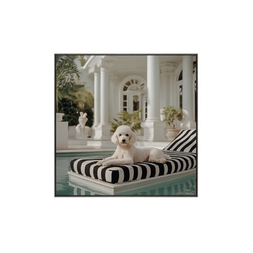 Pippa Canvas Framed print