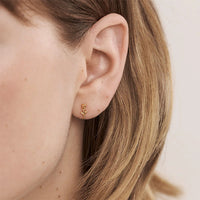 Enchanted Rose Studs