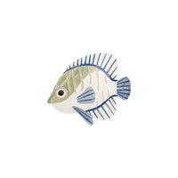 Green Reef Fish Dish