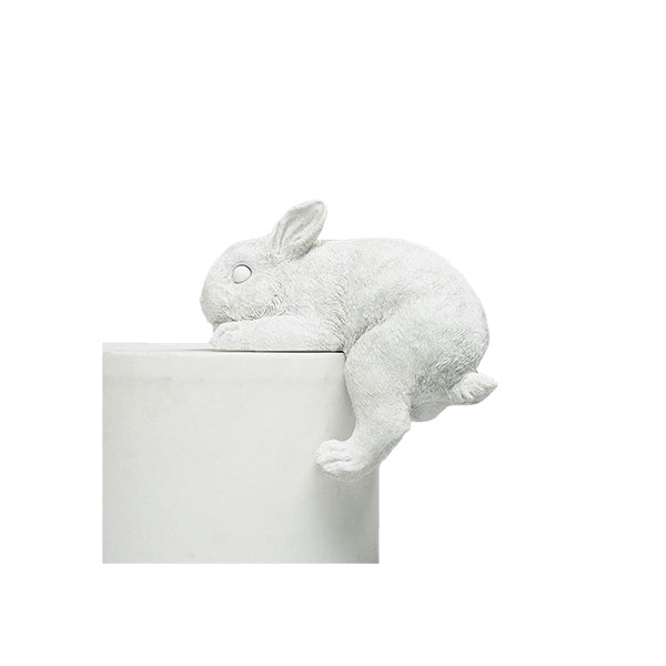 Shelf Bunny